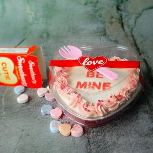 Valentine's Day Box Mini Cake